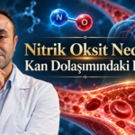 Nitrik Oksit Nedir? Kan Dolaşımındaki Rolü